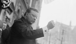 Theodore Roosevelt 